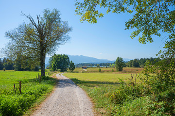 Fototapeta na wymiar hiking and bike route to lake staffelsee, beautiful bavarian landscape