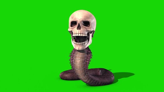 Snake Skull Attacks Green Screen Loop 3D Rendering Animation