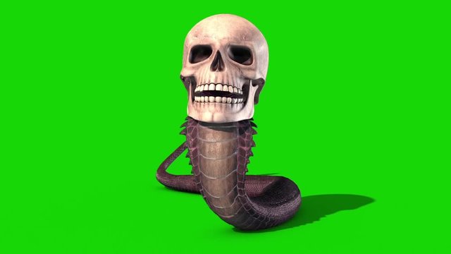 Snake Skull Crawlcycle Green Screen Loop Front 3D Rendering Animation