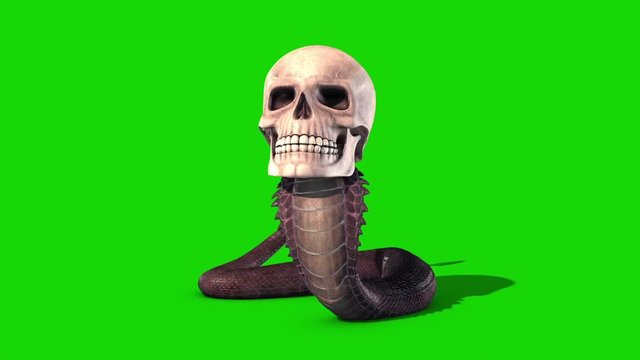 Snake Skull Idle Green Screen Loop 3D Rendering Animation