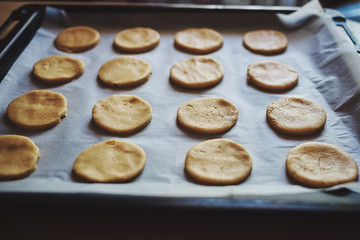 Round pieces of shortbread dough for making cookies or gingerbread