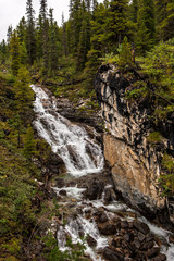 A mountain river flows next to a cliff. Coniferous trees grow on the banks. Cloudy weather. Vertical.