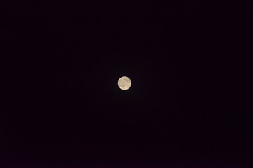 full moon in the night 