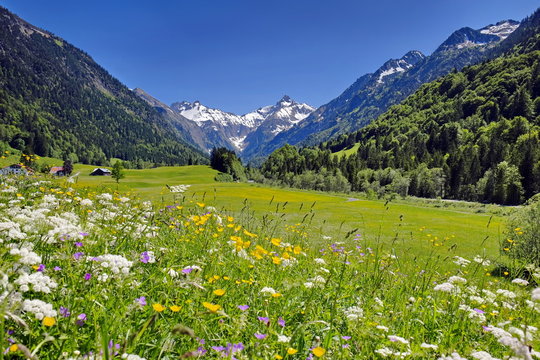 Alpen, Berge und H&auml;user mit Blumenwiesen und Gipfeln mit Schnee