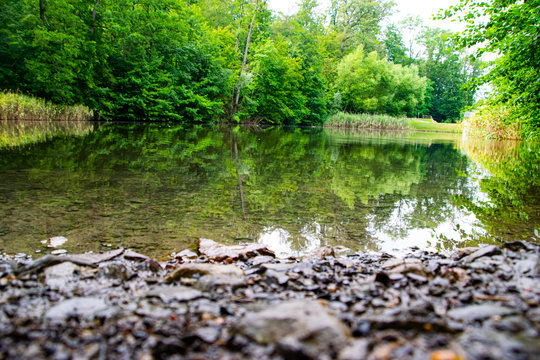 Kleiner Waldsee in Heilbronn, mit reflektionen vom wald im wasser