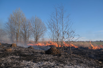 Fire. Burning last year's dry grass with plenty of smoke could turn into a tragedy.