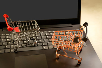 shopping baskets on laptop with plants on background. copy space. shopping concept