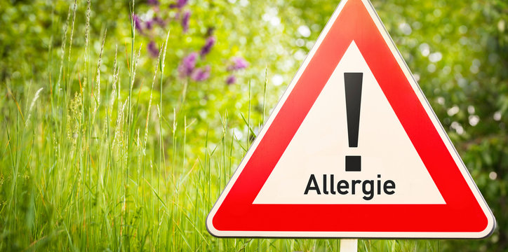 Warnschild mit Ausrufezeichen und Text Allergie vor Gr&auml;sern und B&uuml;schen als Hinweis auf Pollen, Bl&uuml;tenstaub und allergische Reaktionen
