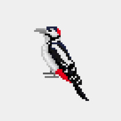 vector pixel art bird Woodpecker isolated 8 bit