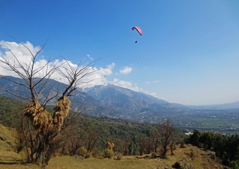 Paragliding in the mountains