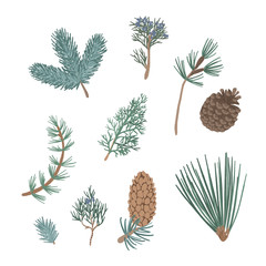 Flat vector set of coniferous plants branches.Holly berries, pine or fir cones, branch of mistletoe and coniferous trees. Hand drawn set on a dark white background
