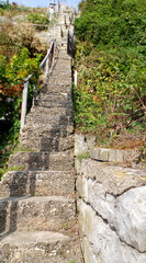 Steile Weinberg-Treppe und Weinbergmauer aus Natursteinen