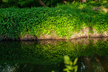 Photos of nature and other objects with the sunset rays.