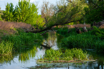 Photos of nature and other objects with the sunset rays.