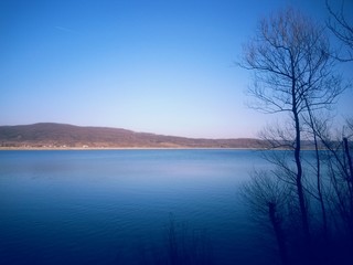 peaceful water close to the forest in spring season. calm lake reflecting clouds