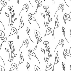 Doodle calla lilies seamless pattern isolated on white. Sketch flower. Hand drawing line art. Outline vector stock illustration. EPS 10