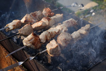 Juicy appetizing pieces of BBQ pork, beef and chicken meat, fried in barbecue grill on skewers.Relax and dinner with friends and family in nature park.Firewood, coals and smoke. Spring holiday picnic