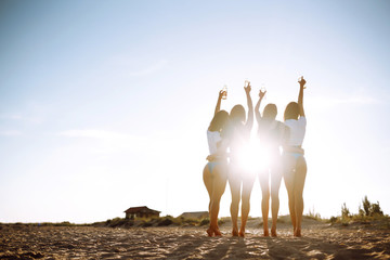 Four young girlfriends with beers in their hands raised together enjoying a holiday on the sea shore. Summer, relax and lifestyle concept.