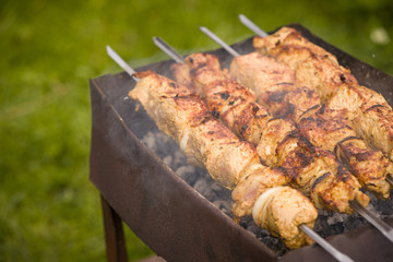 Juicy slices of meat on skewers on an open barbecue grill. Closeup of barbecue with grilled meat with fire and smoke.