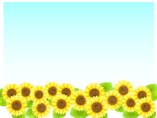 Fototapeta premium ひまわりコピースペース