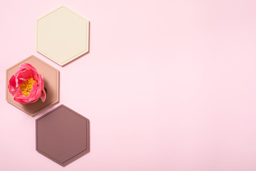 Abstract flat lay background with pastel honeycomb