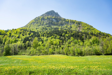Stanserhorngebirge aus der Sicht des Engelbergertales, Kt. Nidwalden, Schweiz