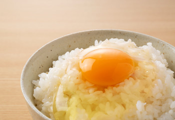 Rice with egg in the background of a tree