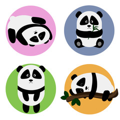 cute pandas