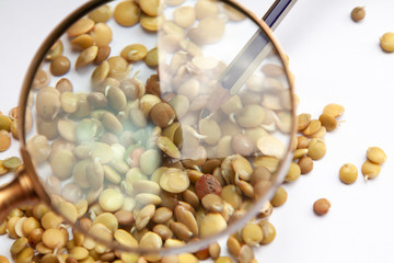Lentil seeds under magnifying glass
