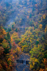 background abstract nature landscape autumn and small waterfall on mountain in Japan