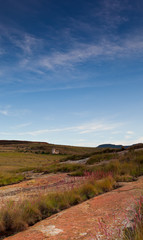 farmland landscape with wispy clouds outside Clarence, Free State, South Africa