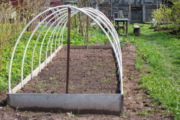 Garden greenhouses and planting seedlings in the soil. Garden vegetable garden nature.