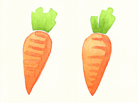 Two cute carrot watercolor isolated on white background. Illustration of cartoon style.