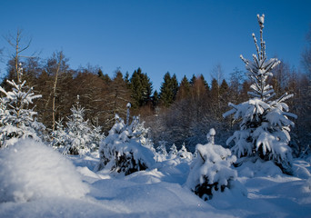 Eiskristall, Winterlandschaft, Himmel