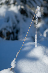 Eiskristall, Winterlandschaft, Himmel