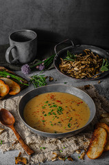Fox mushrooms soup