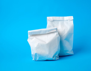 two full paper disposable food bags on a blue background