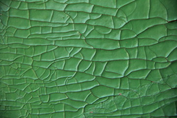 background old cracked paint green
