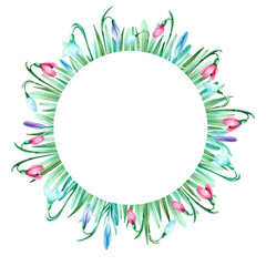 Watercolor round frame with with pink violet
blue snowdrops and leaves on white backgrond. Nice design for spring wedding lovely card and another printed products. Delicate spring flowers and 
sprouts