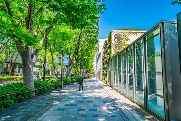 東京 青山 表参道 ~ Omotesando, the most fashionable street in Tokyo, Japan ~ - obrazy, fototapety, plakaty
