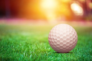 A action active calm compete country course