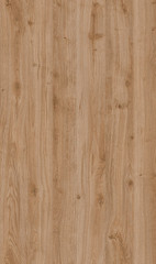 Fototapeta premium detailed natural wood texture background