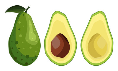 Set avocado. The dark green fruit of the tree is pear-shaped with a large brown stone. Vector illustration isolated on a white background for design and web.
