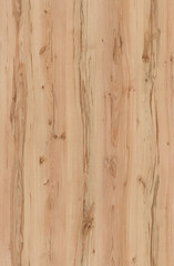 Fototapeta na wymiar detailed natural wood texture background