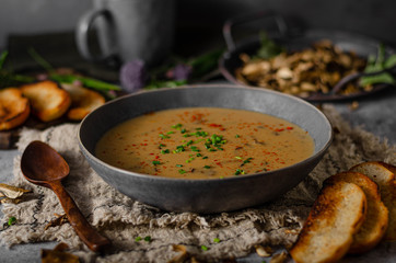 Fox mushrooms soup