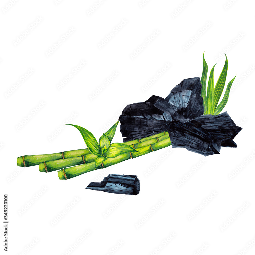 Wall mural charcoal and bamboo. natural cosmetic products illustration. scrub and absorbent component with gree