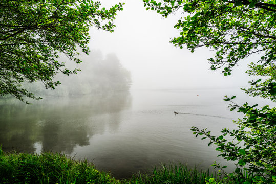 lac d' Aydat dans la brume