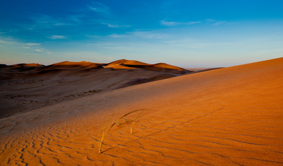 Obraz na płótnie Canvas dunes in Namibia