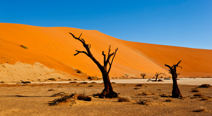 sossusvlei namibia, desert landscape