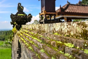 Fototapeta na wymiar temple in Bali indonesia